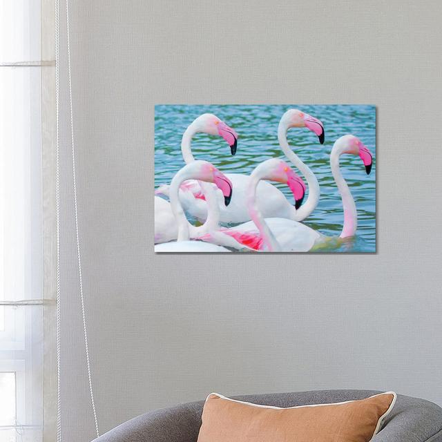 Flamingos V by Ben Heine - Wrapped Canvas Print 17 Stories Size: 45.72cm H x 66.04cm W x 3.81cm D on Productcaster.