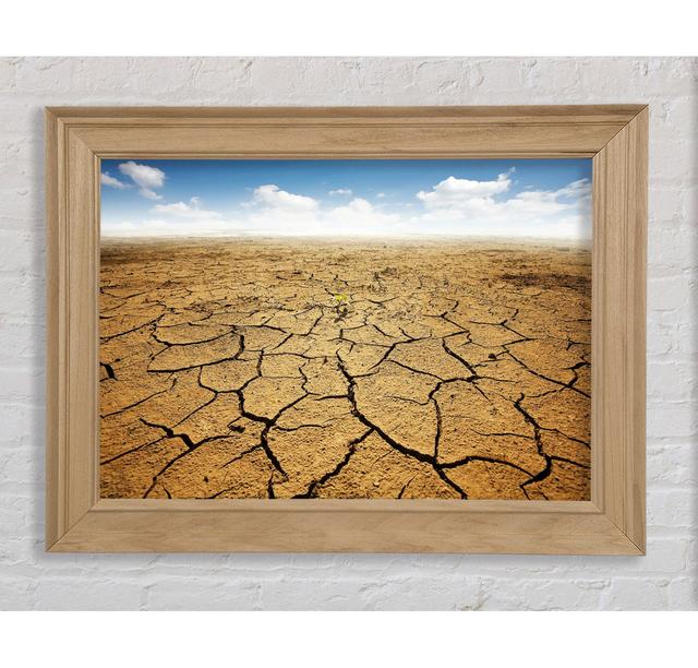 Signs Of Life Framed Print Highland Dunes Size: 42cm H x 59.7cm W x 8cm D on Productcaster.