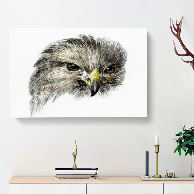 Bird of Prey by Jean Bernard - Wrapped Canvas Painting Print East Urban Home Size: 40cm H x 60cm W x 3cm D on Productcaster.