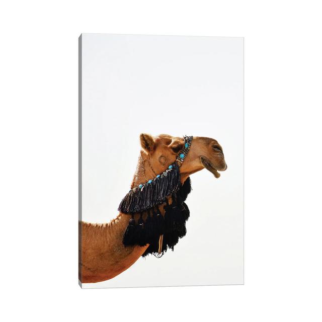 Decorated Camel by Karen Mandau - Wrapped Canvas Print Natur Pur Size: 45.72cm H x 30.48cm W x 1.905cm D on Productcaster.