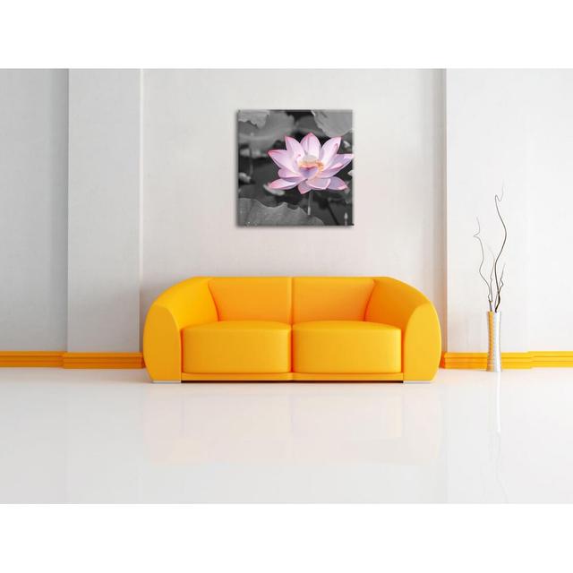 Leinwandbild Pink Blooming Lotus Close up Marlow Home Co. Größe: 40 cm H x 40 cm B x 1,8 cm T on Productcaster.