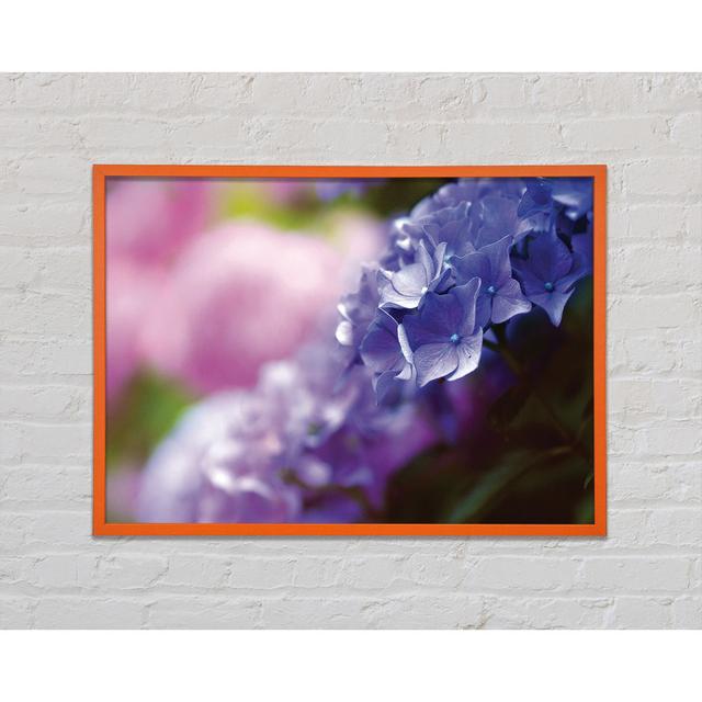 Pretty Small Purple Flowers - Single Picture Frame Art Prints Brayden Studio Size: 29.7cm H x 42cm W x 2cm D on Productcaster.