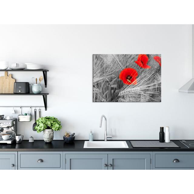 Poppies in the Cornfield - Unframed Graphic Art on Glass Brayden Studio Size: 70cm H x 100cm W x 0.4cm D, Colour: Black on Productcaster.