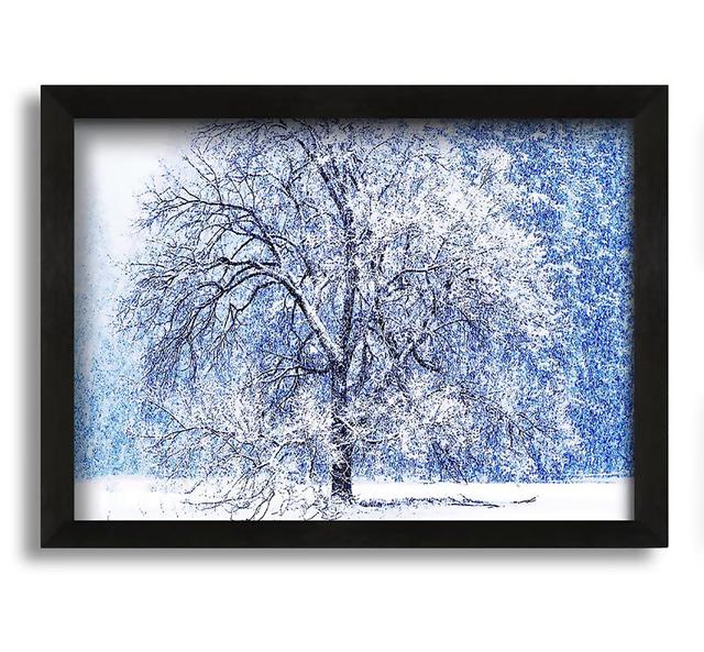 Snow Falling - Picture Frame Photograph on Canvas Brayden Studio Size: 30cm H x 42cm W x 10cm D on Productcaster.