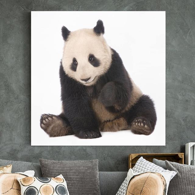 Panda Paws - Wrapped Canvas Graphic Art Ebern Designs Size: 40cm H x 40cm W on Productcaster.