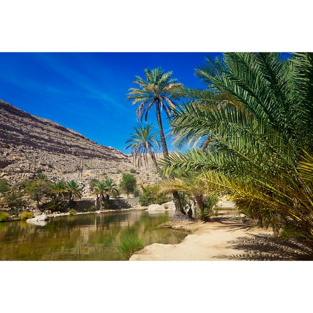 Wadi Bani Khalid Oman by 35007 - No Frame Art Prints on Canvas 17 Stories Size: 81cm H x 122cm W on Productcaster.