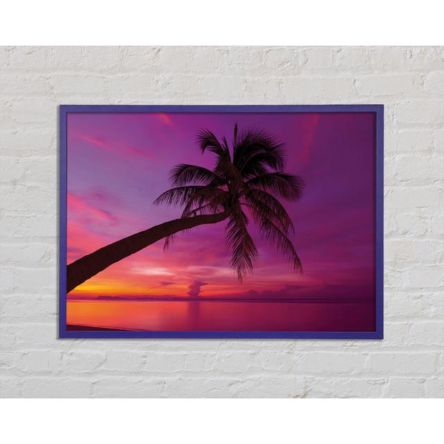 Palm Tree Skies Framed Print Bay Isle Home Size: 84.1cm H x 59.7cm W x 2cm D, Format: Gray Framed Wood on Productcaster.