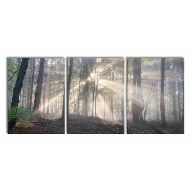 Hazy Forest Path - 3 Piece Wrapped Canvas Print East Urban Home Size: 80cm W x 180cm H on Productcaster.