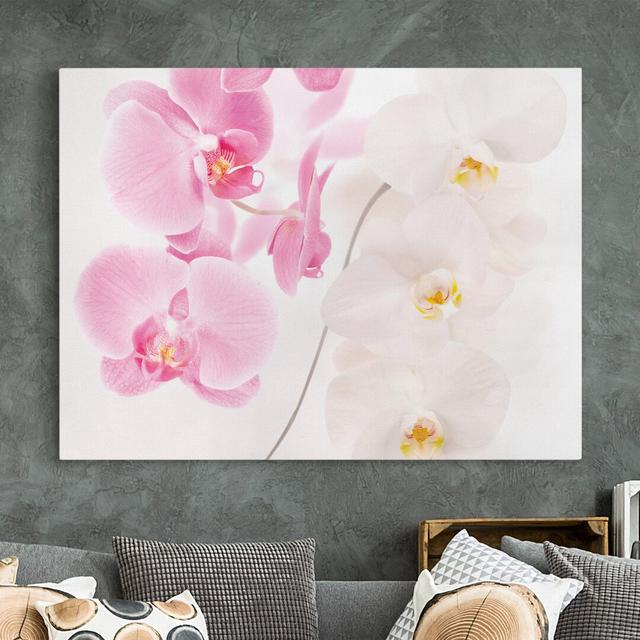 Leinwandbild Zarte Orchideen Ebern Designs Größe: 90 cm H x 120 cm B on Productcaster.