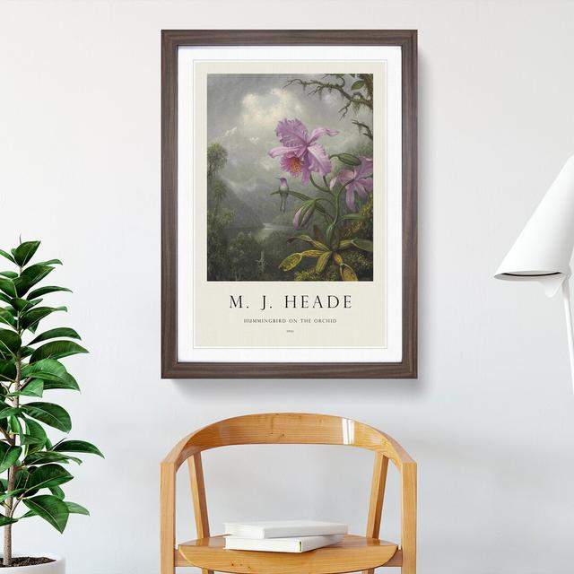 Hummingbird on the Orchid Plant by Martin Johnson Heade - Picture Frame Painting East Urban Home Size: 48cm H x 36cm W x 2cm D, Frame Option: Walnut F on Productcaster.