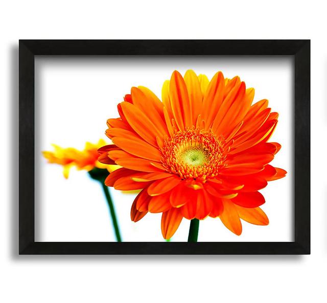 Orange Flames - Picture Frame Graphic Art on Canvas Brayden Studio Size: 42cm H x 60cm W x 10cm D on Productcaster.