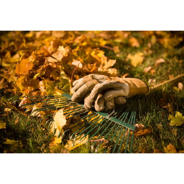 Raking The Leaves In Autumn by Pgiam - No Frame Art Prints on Canvas 17 Stories Size: 30cm H x 46cm W on Productcaster.