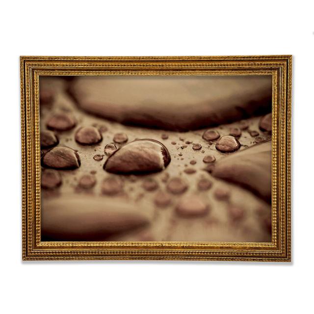 Chocolate Raindrop - Print Ebern Designs Size: 84.1cm H x 118.9cm W x 3cm D on Productcaster.