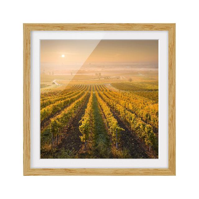 Autumn Vineyards near Vienna - Picture Frame Photograph Print on Paper East Urban Home Frame Options: Natural oak, Size: 50cm H x 50cm W on Productcaster.