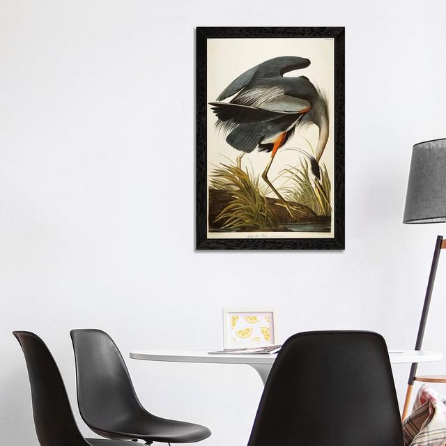 Great Blue Heron by John Audubon - Painting on Canvas East Urban Home Size: 152.4cm H x 101.6cm W x 3.81cm D, Frame Option: Black Framed on Productcaster.