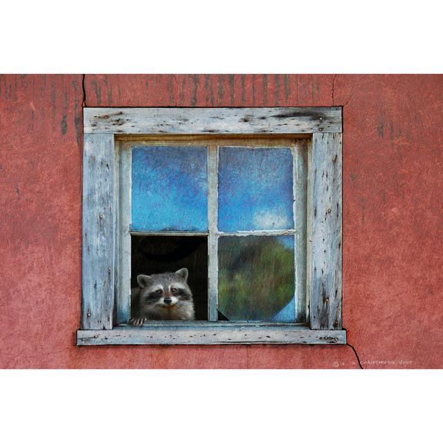 Raccoon Window by Chris Vest - Wrapped Canvas Painting 17 Stories Size: 20cm H x 30cm W x 3.8cm D on Productcaster.