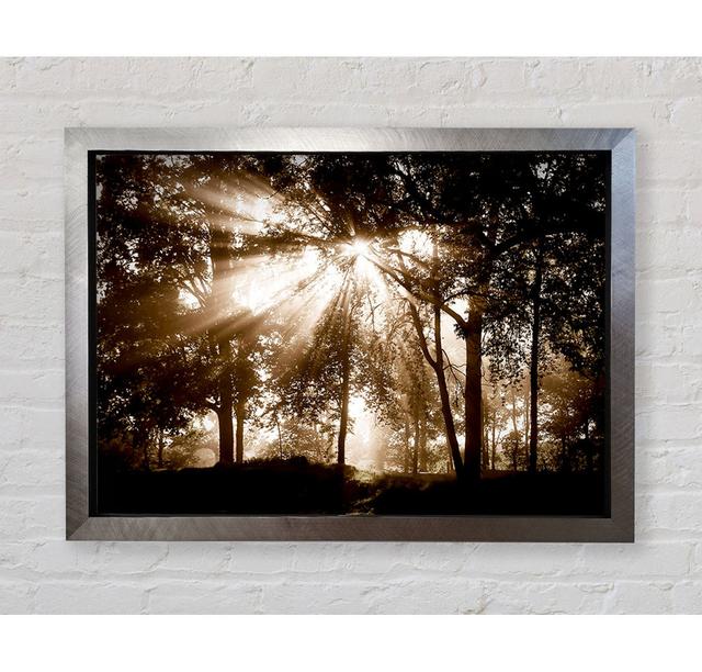 Sunrays Through The Woodland - Single Picture Frame Art Prints Bright Star Size: 100cm H x 141.4cm W x 3.4cm D on Productcaster.