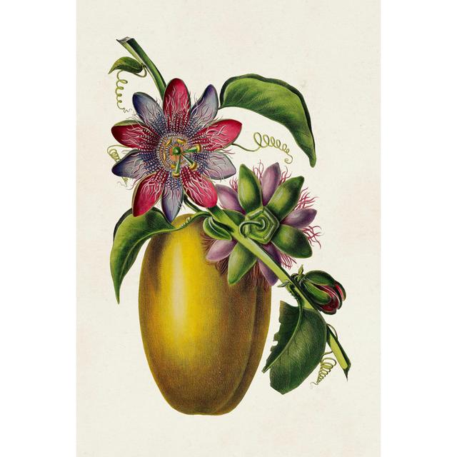 Fruit Of The Tropics II August Grove Size: 76cm H x 51cm W x 3.8cm D on Productcaster.