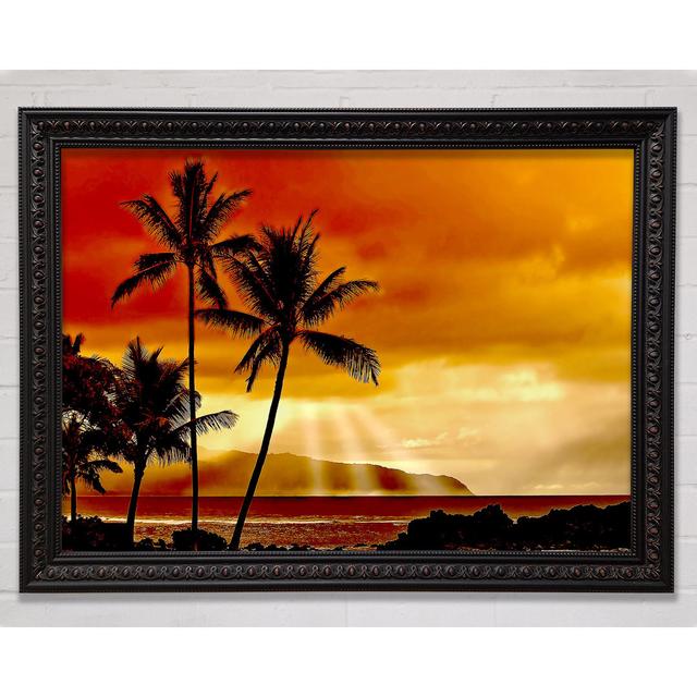 Sunset In The Tropics - Single Picture Frame Art Prints 17 Stories Size: 29.1cm H x 42cm W on Productcaster.