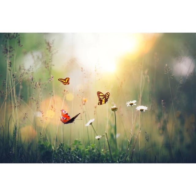 Flowers With Butterflies by Borchee - No Frame Print on Canvas 17 Stories Size: 51cm H x 76cm W on Productcaster.