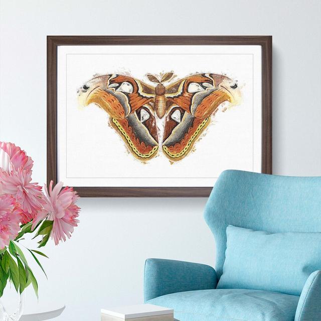 Atlas Moth by George Shaw - Single Picture Frame Painting East Urban Home Size: 45cm H x 63cm W x 2cm D, Frame Option: Walnut Framed on Productcaster.