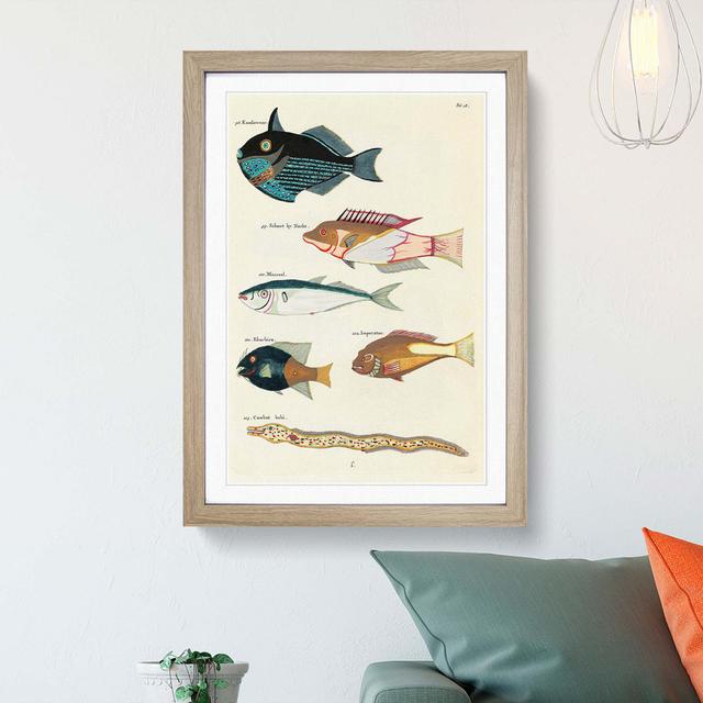 East Indies Fish Illustrations Fol. 18 by Louis Renard - Picture Frame Painting Print East Urban Home Frame Option: Oak Framed, Size: 65cm H x 48cm W on Productcaster.