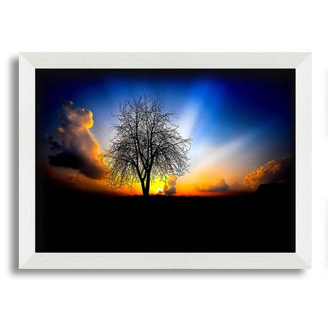 Quamba The Next Morning - Single Picture Frame Art Prints Latitude Run Size: 42cm H x 59.7cm W x 10cm D on Productcaster.