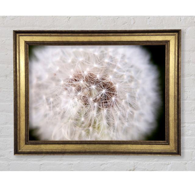 Picture Frame Art Prints Bright Star Size: 42cm H x 59.7cm W x 8cm D on Productcaster.