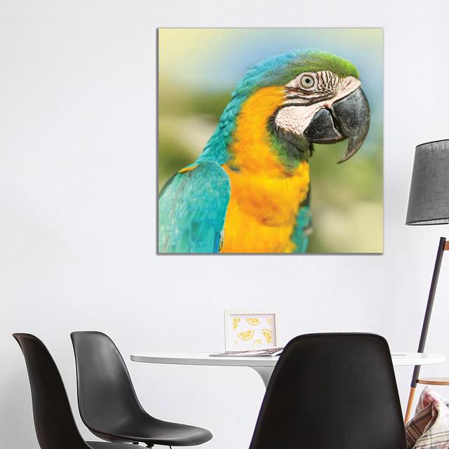 Parrot by Ben Heine - Wrapped Canvas Print 17 Stories Size: 93.98cm H x 93.98cm W x 1.91cm D on Productcaster.