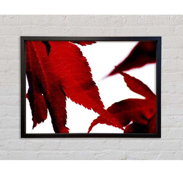 Leaves - Single Picture Frame Art Prints on Canvas Ebern Designs Size: 100cm H x 141.4cm W x 3.3cm D on Productcaster.