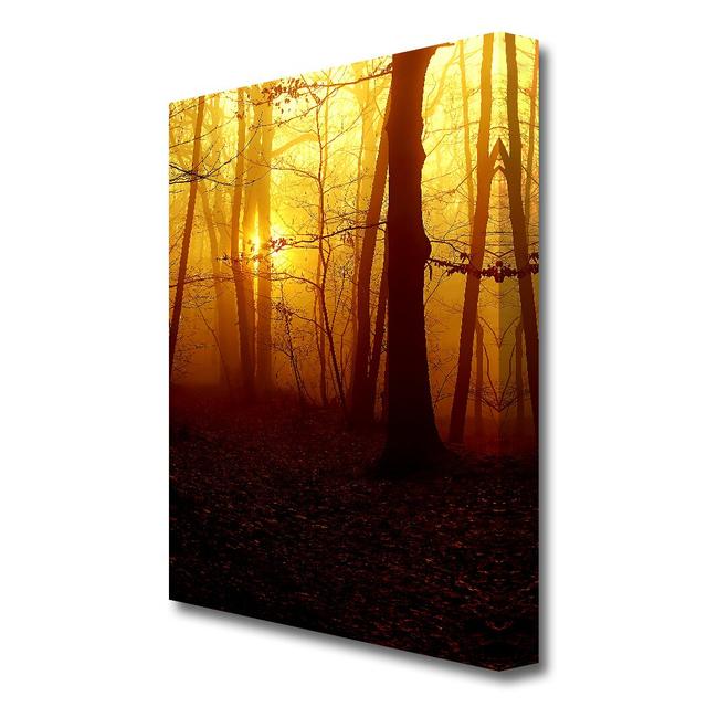 Golden Forest At First Light Forest - Wrapped Canvas Photograph Print East Urban Home Size: 50.8 cm H x 35.5 cm W on Productcaster.