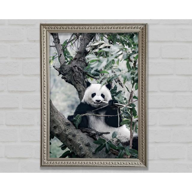 Panda Tree Lover - Print Latitude Vive Size: 118.9cm H x 84.1cm W on Productcaster.