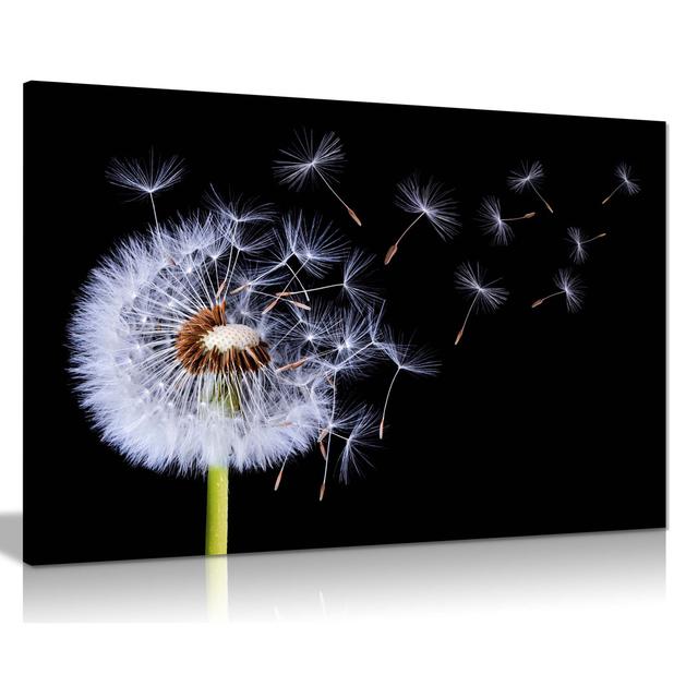 Panther Print Fine Art Prints White Dandelion Blossom Wind Blown Artistic Framed Canvas Print, Pictures For Home Walls, Bedroom, Living Room & Bathroo on Productcaster.