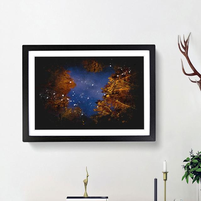 Forest Stars in Canada - Picture Frame Graphic Art Print East Urban Home Size: 62cm H x 87cm W x 2cm D, Frame Option: Black Framed on Productcaster.