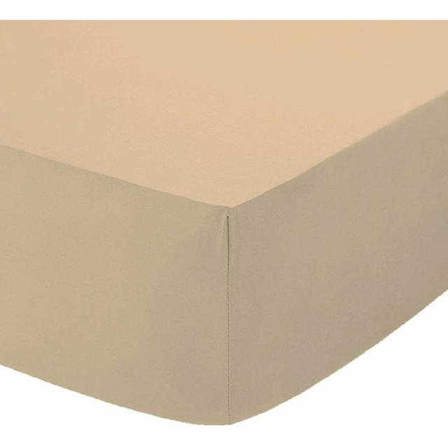 Agam 180 Thread Count Eqyptian Quality Cotton Percale Fitted Sheet Symple Stuff Size: Super King (6'), Colour: Beige on Productcaster.