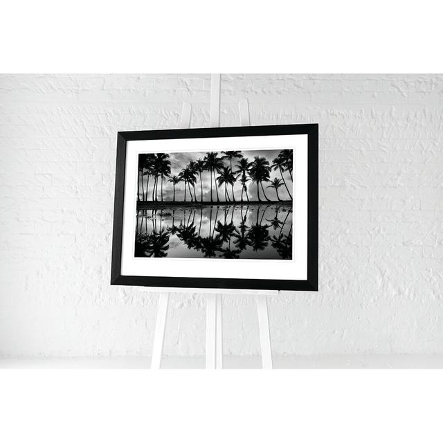 'Palm Reflection' Framed Graphic Art Brayden Studio on Productcaster.