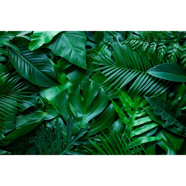 Tropical Green Monstera and Palms Leaf Background - Wrapped Canvas Photograph Bay Isle Home Size: 20cm H x 30cm W on Productcaster.