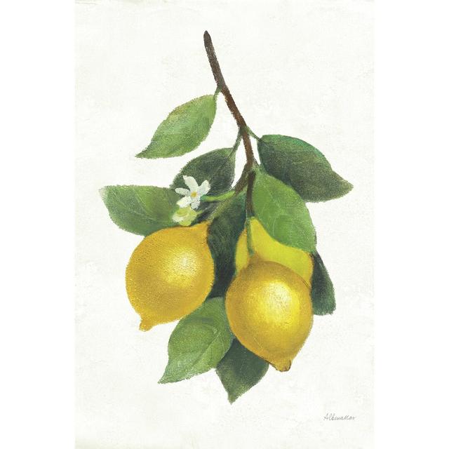 Lemon Branch III - Wrapped Canvas Art Print Rosalind Wheeler Size: 76cm H x 51cm W on Productcaster.