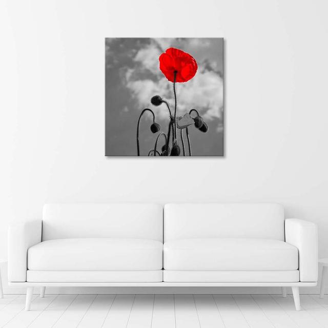 Leinwandbild Poppy In Bloom Marlow Home Co. on Productcaster.