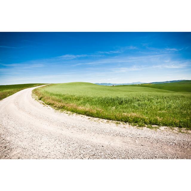 Country Road In Tuscany by Zodebala - No Frame Print on Canvas 17 Stories Size: 61cm H x 91cm W on Productcaster.