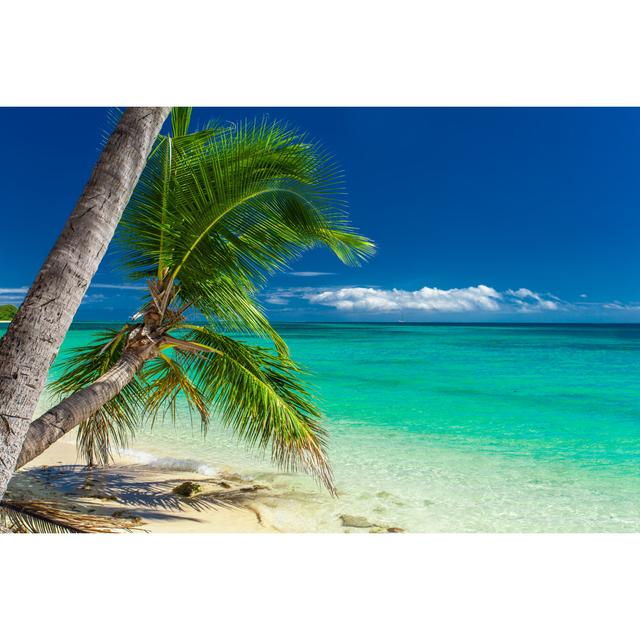 Palm Trees Hanging Over Tropical Beach In Fiji_598243828 House of Hampton Size: 61cm H x 91cm W x 3.8cm D on Productcaster.