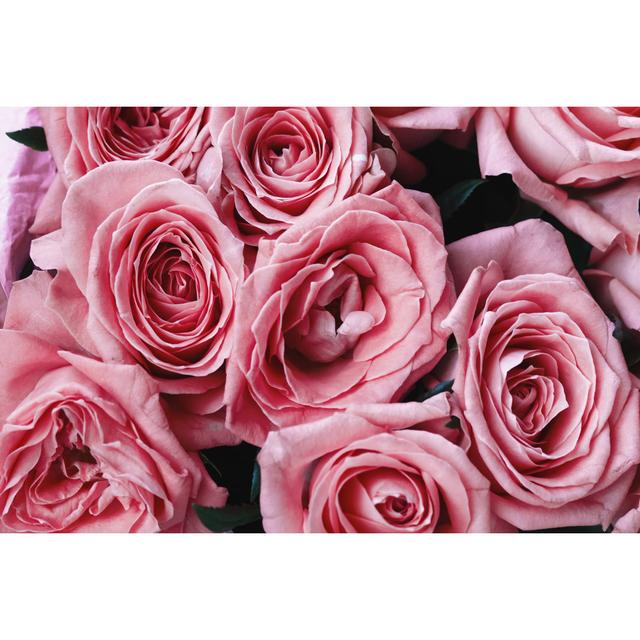 Toned Pink Roses - Wrapped Canvas Print Canora Grey Size: 51cm H x 76cm W on Productcaster.