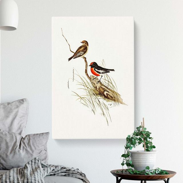 Robin by Elizabeth Gould - Wrapped Canvas Painting Print East Urban Home Size: 76cm H x 50cm W x 3cm D on Productcaster.