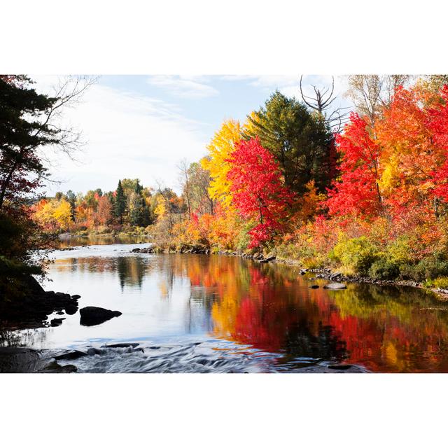 Autumn In Ontario - Wrapped Canvas Print Alpen Home Size: 20cm H x 30cm W x 3.8cm D on Productcaster.