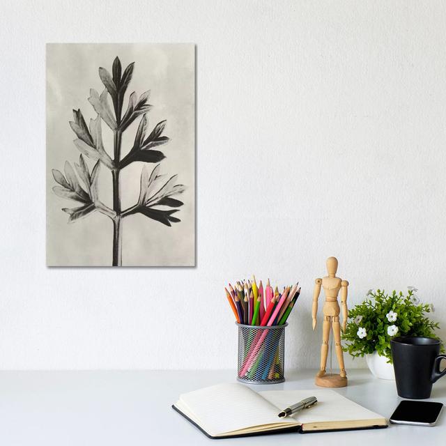 Blossfeldt Botanical I by Karl Blossfeldt - Wrapped Canvas Print Rosalind Wheeler Size: 30.48cm H x 20.32cm W x 1.91cm D on Productcaster.