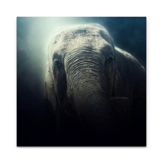 Leinwandbild Portrait Elefant East Urban Home Größe: 60 L x 60 B on Productcaster.