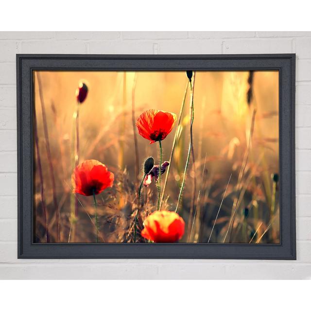 Single Picture Frame Art Prints Ebern Designs Size: 29.7cm H x 42cm W on Productcaster.