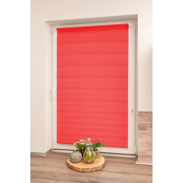 Double Roller Blind Symple Stuff Size: 150 cm L x 65 cm W, Finish: Red on Productcaster.