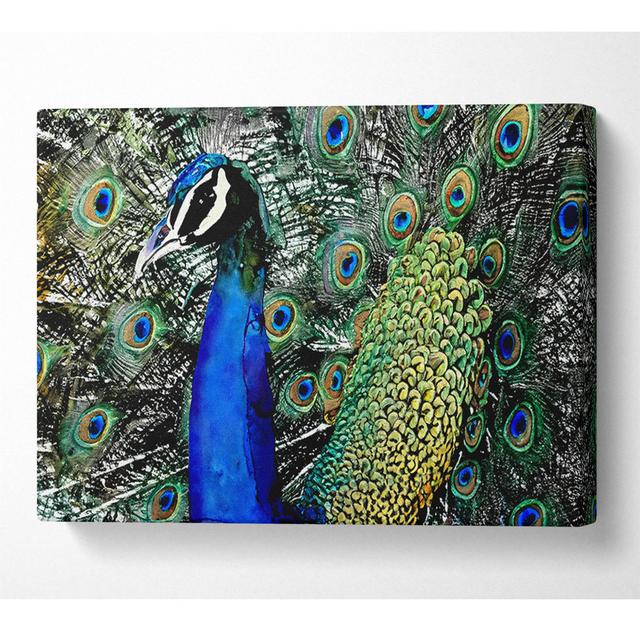 Peacock Stare - Wrapped Canvas Art Prints Latitude Vive Size: 50.8cm H x 81.3cm W x 10cm D on Productcaster.