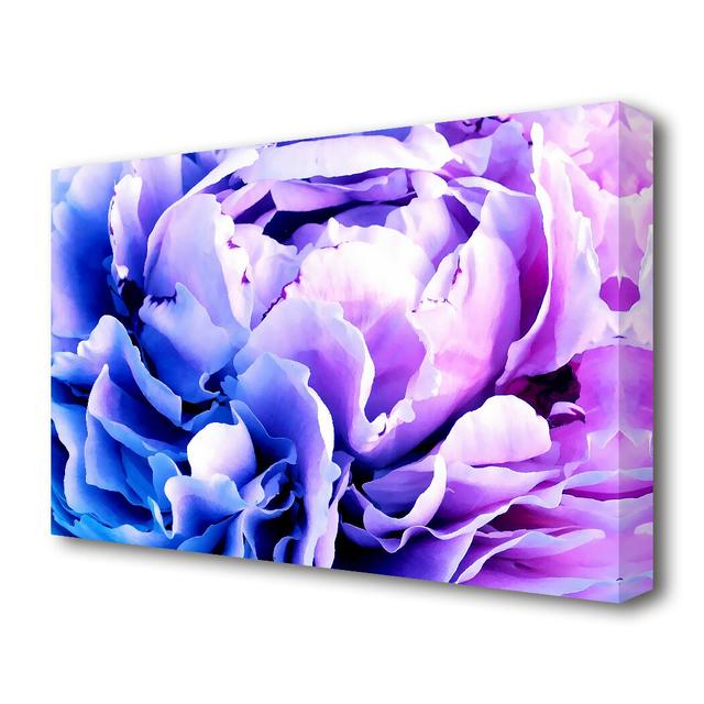 CarnatIon Beauty - Wrapped Canvas Graphic Art Print East Urban Home Size: 50.8 cm H x 81.3 cm W on Productcaster.